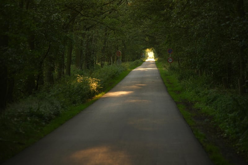 Sunlight guidance