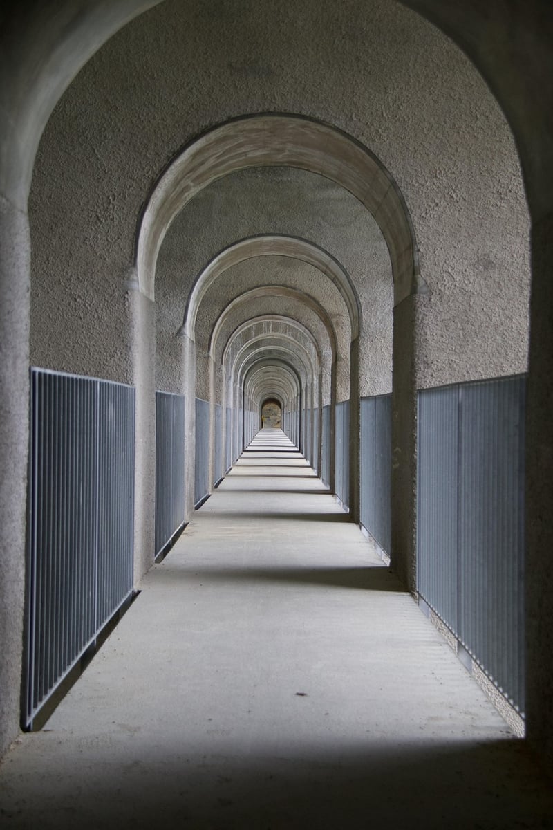Trellis